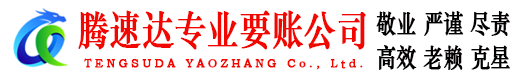 龙文腾速达清债公司